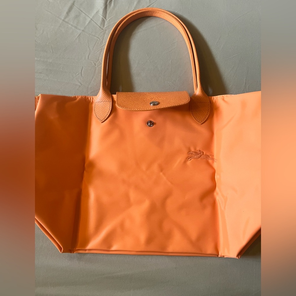 Just in time for this Orange Longchamp for the Spring